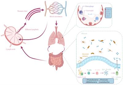 Potential Application of Tea Polyphenols to the Prevention of COVID-19 Infection: Based on the Gut-Lung Axis